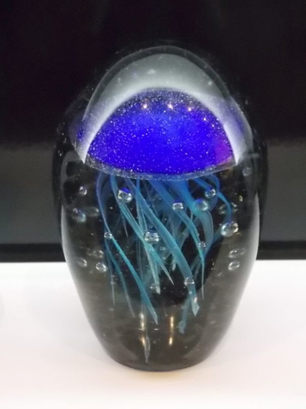 Sulfure Méduse Bleue – Image 6